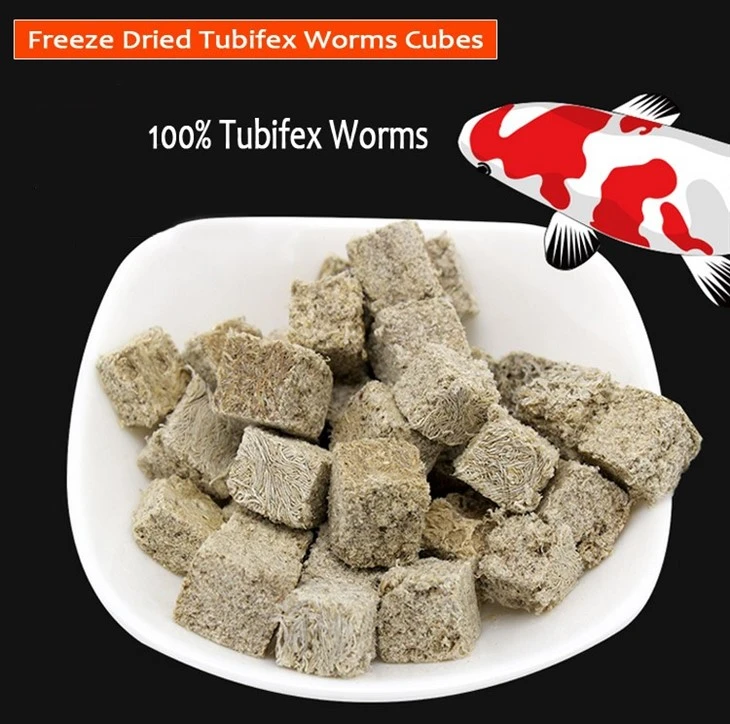 Freeze Dried Tubifex Worm Fish Food