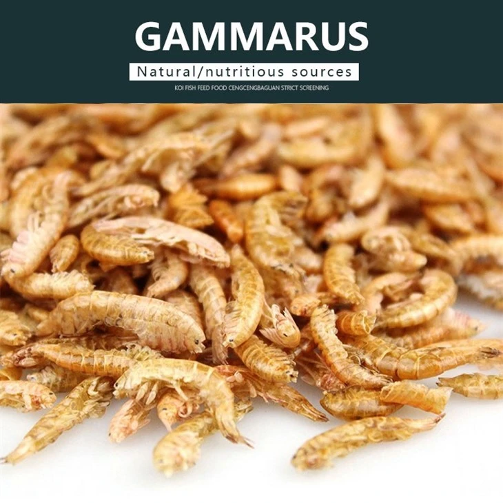 Dried Gammarus