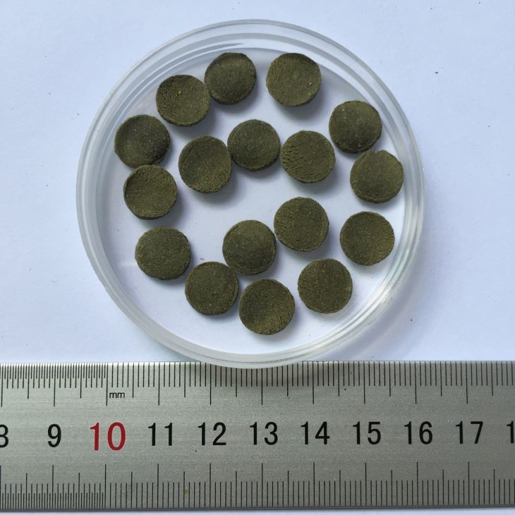 Pleco-Wafer