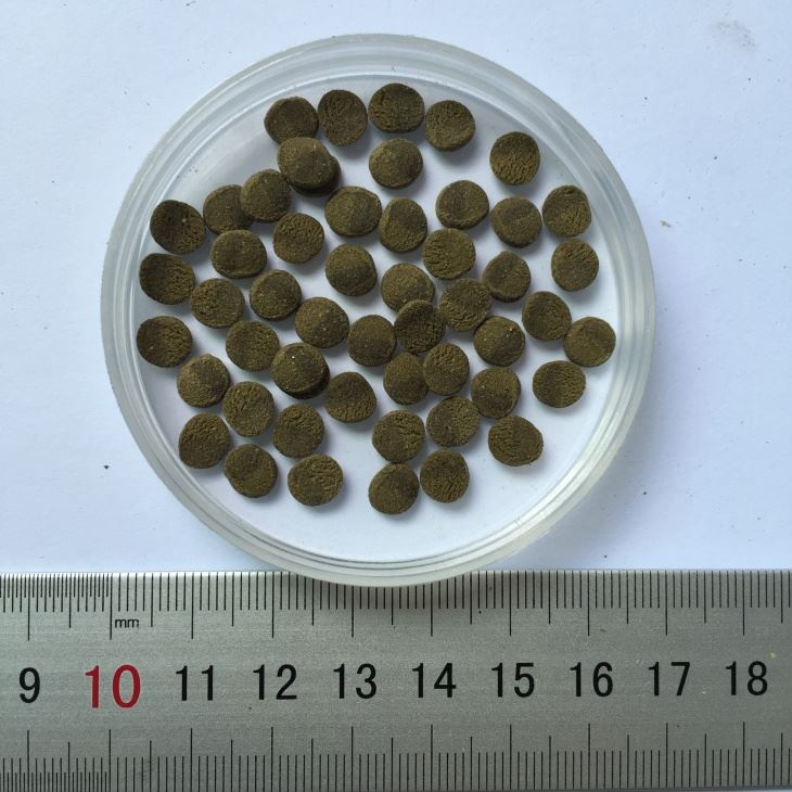 Pleco Wafers fish food